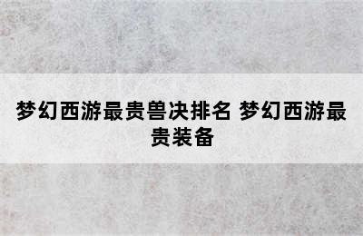 梦幻西游最贵兽决排名 梦幻西游最贵装备